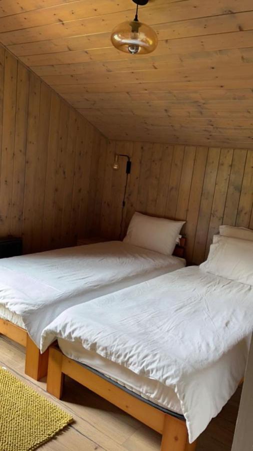 Chalet Luxueux Châtel Buitenkant foto