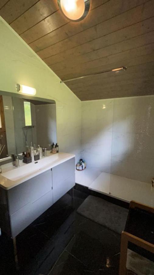 Chalet Luxueux Châtel Buitenkant foto