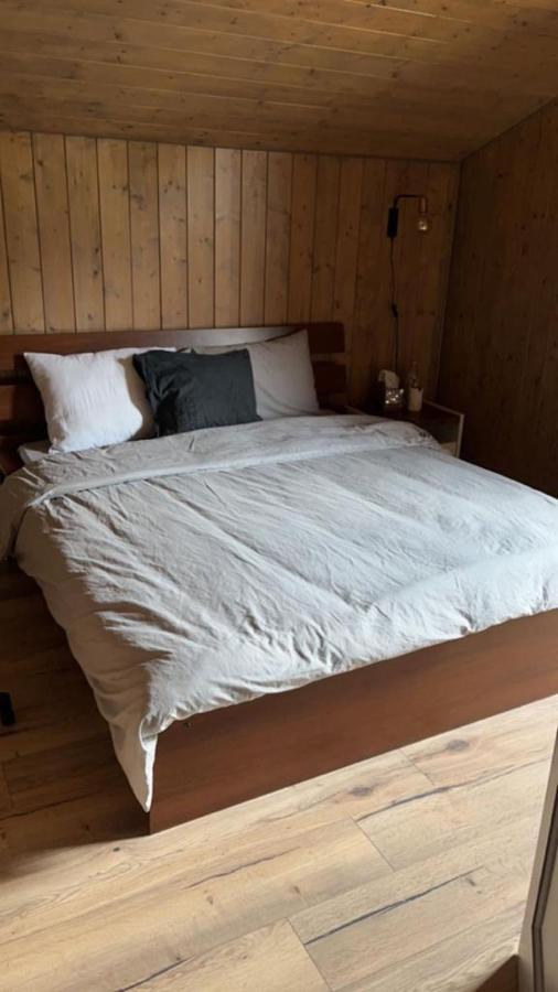 Chalet Luxueux Châtel Buitenkant foto